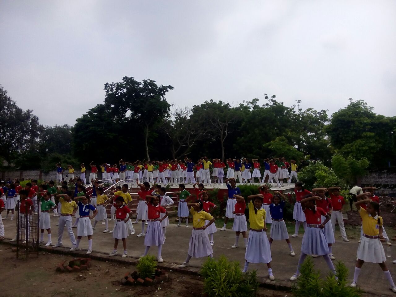 Activity Image